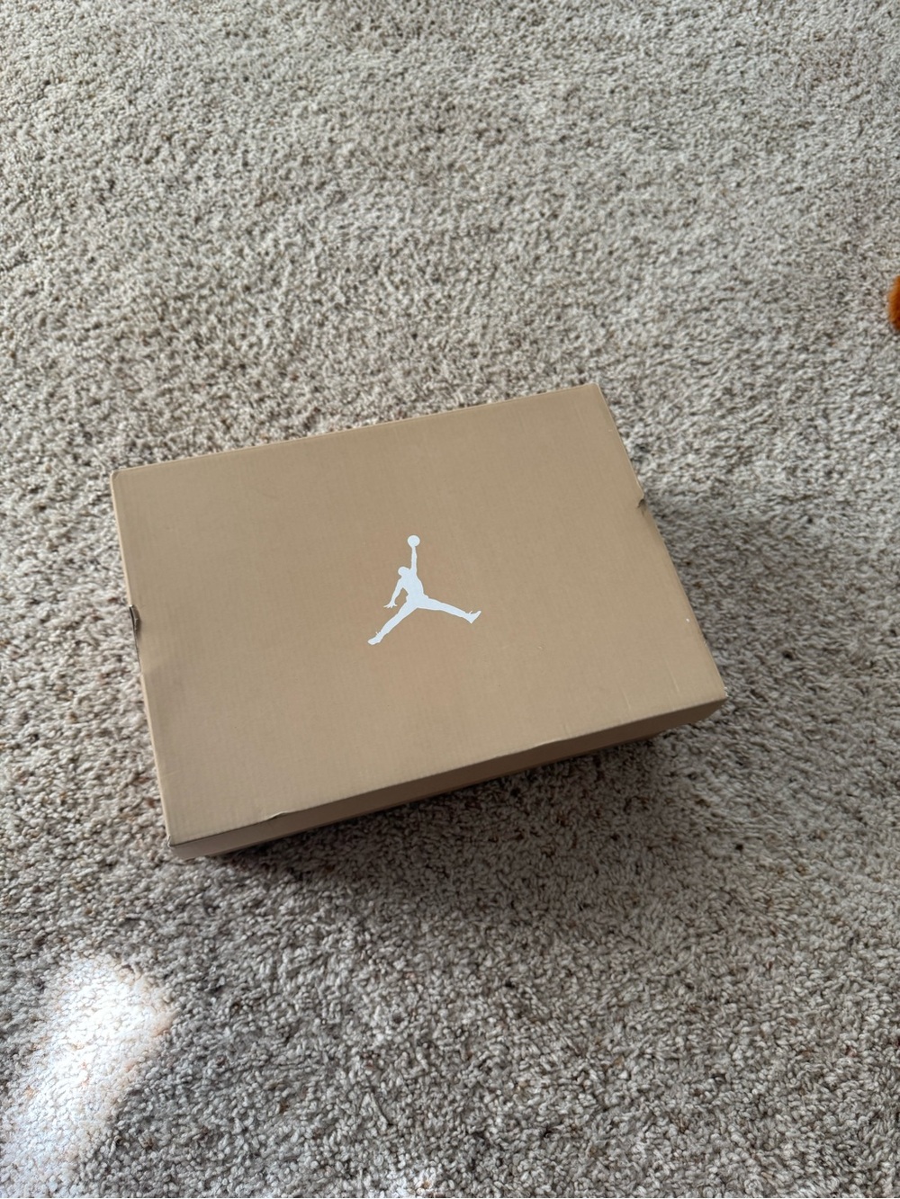 Jordan Sneakers Box